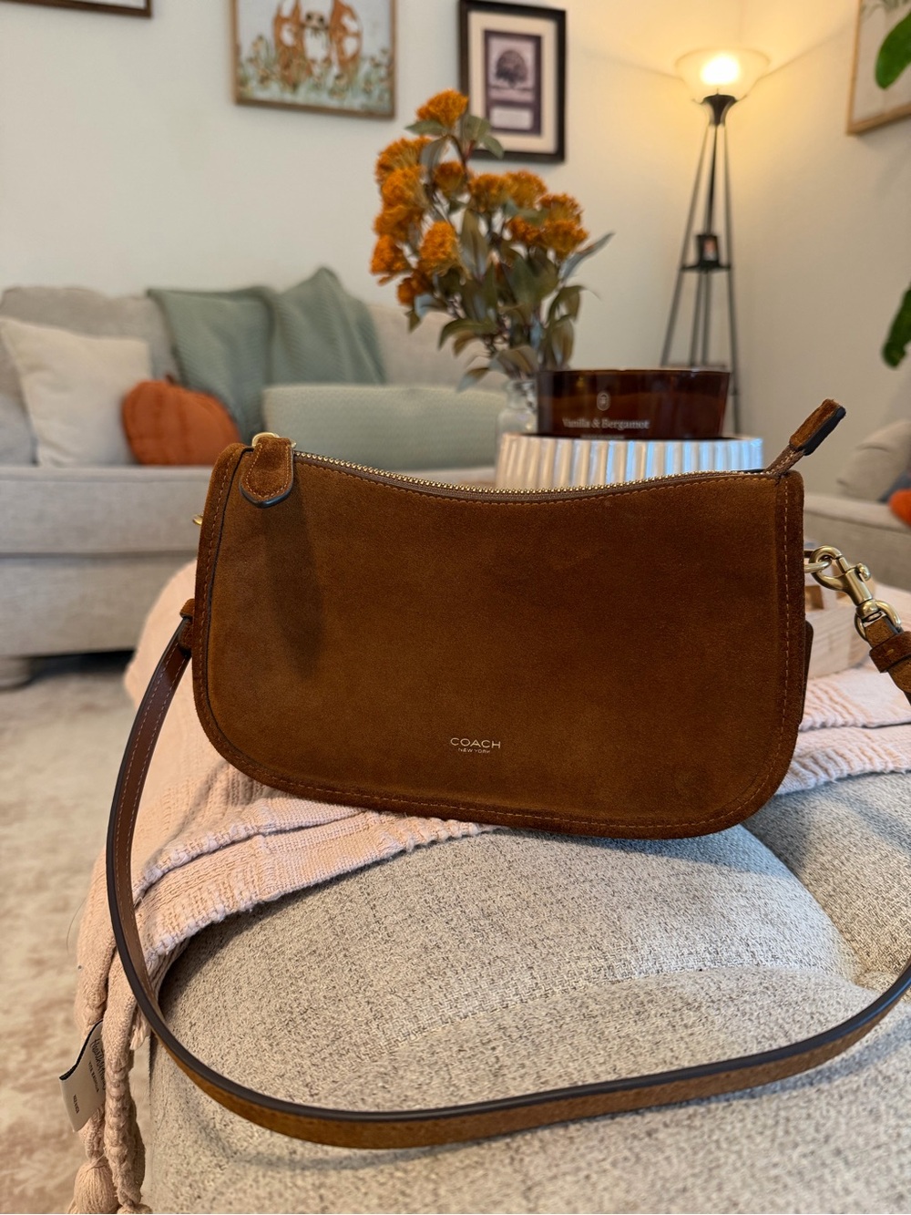 Coach Waverly bag - warm brown suede - loved for one month!